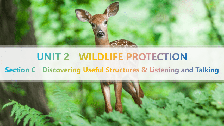 人教版（2019）必修二Unit 2 Wildlife protection Discovering Useful Structures & Listening and Talking课件(共26张P