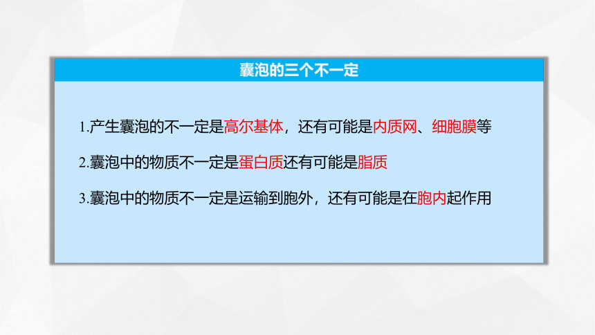 2.5 细胞在结构和功能上是一个统一整体  课件(共21张PPT) 2023-2024学年高一生物 浙教版（2019） 必修一