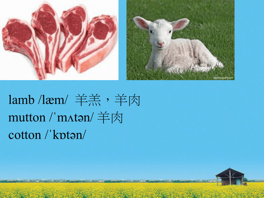 新概念英语第一册 Lesson 49 —50 （共25张PPT）