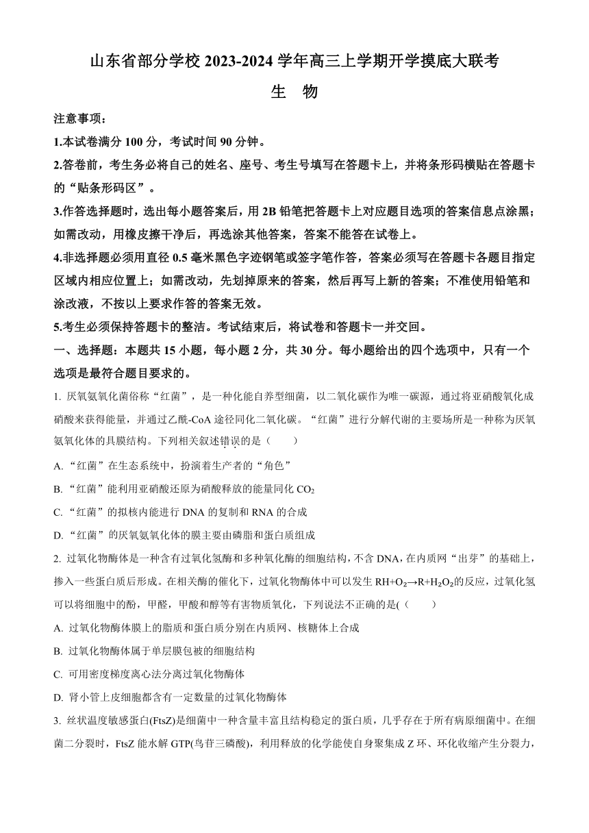 山东省部分学校2023-2024学年高三上学期开学摸底大联考生物学试题（原卷版+解析版）