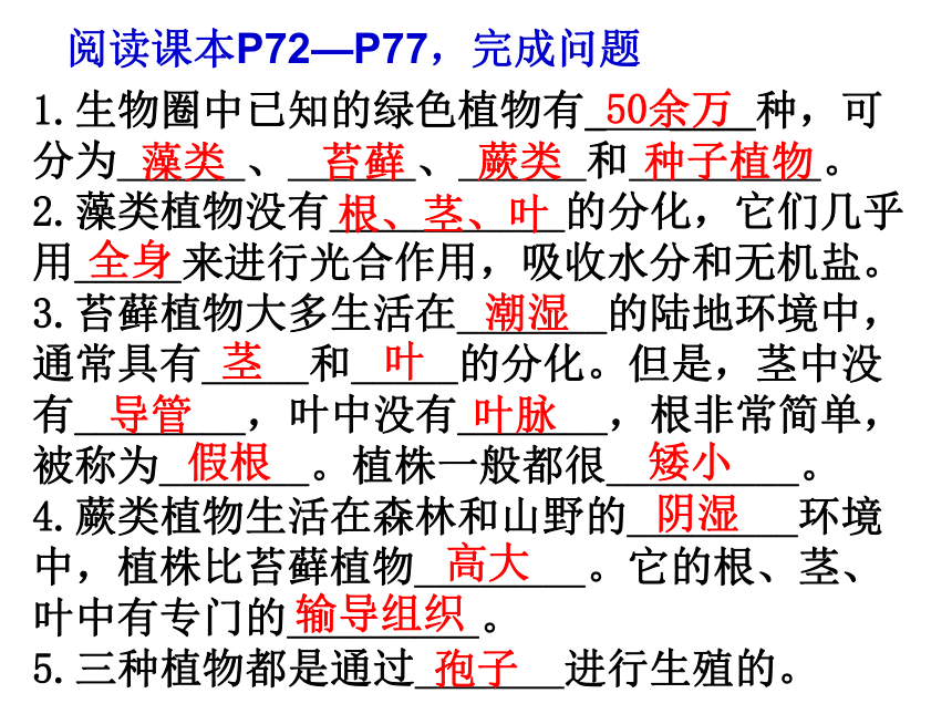 3.1.1藻类、苔藓和蕨类植物课件（共22张PPT）2023年秋人教版生物七年级上册