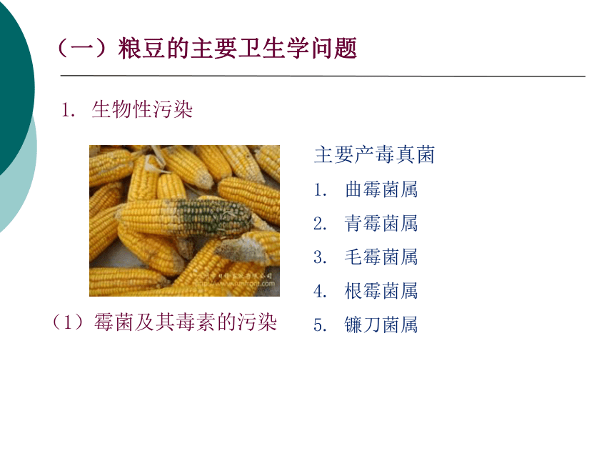 11各类食品卫生及其管理-1 课件(共32张PPT)- 《营养与食品卫生学》同步教学（人卫版·第7版）