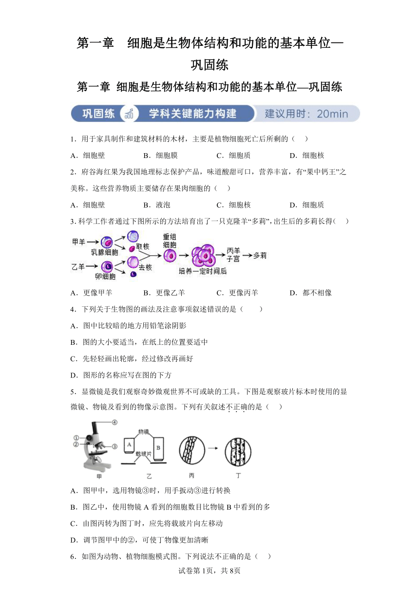 第二单元第一章 细胞是生物体结构和功能的基本单位—巩固练 （含解析）人教版生物七上