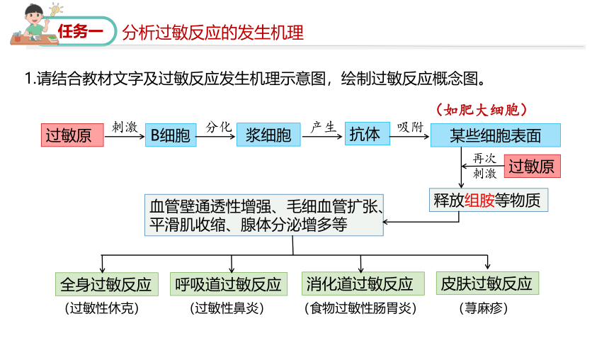 2023-2024学年高二生物人教版选择性必修第一册课件 4.3 免疫失调(共27张PPT2个视频)