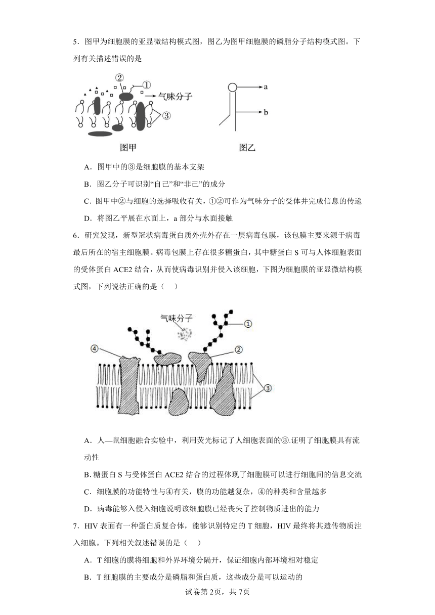 人教版高中生物必修一第3章第1节细胞膜的结构和功能同步练习（含答案）