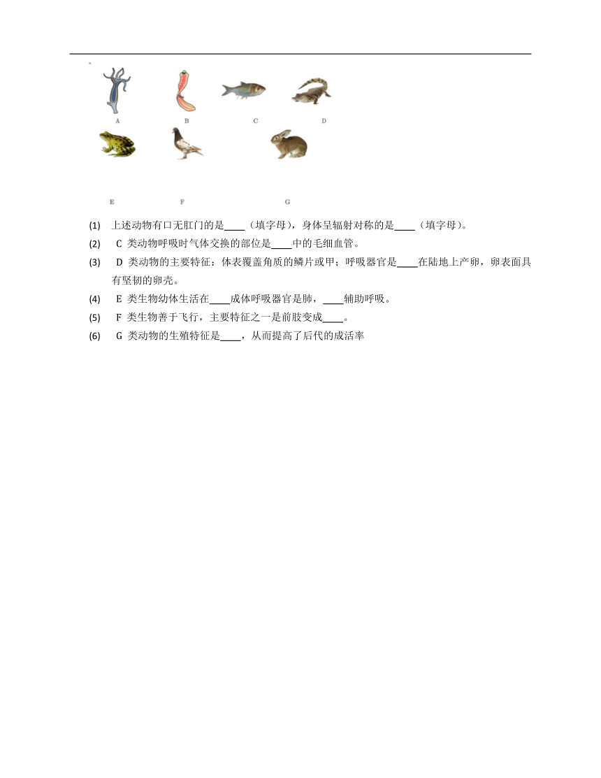 济南七上2.2.2脊椎动物的主要类群（含解析）