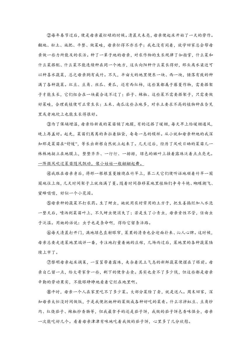 河南省濮阳市范县2023-2024学年七年级上册期中语文试题（含解析）