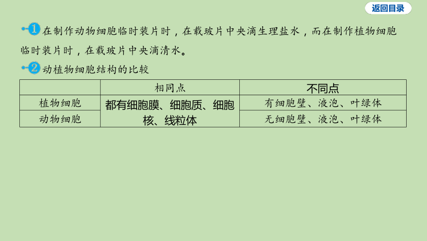 2.1.3 观察动物细胞课件（共21张PPT）2023-2024学年六年级生物鲁教版（五四学制）