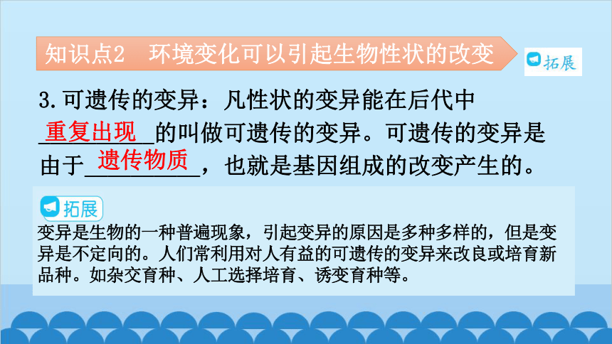 6.20.5遗传与环境课件(共26张PPT)北师大版生物八年级上册