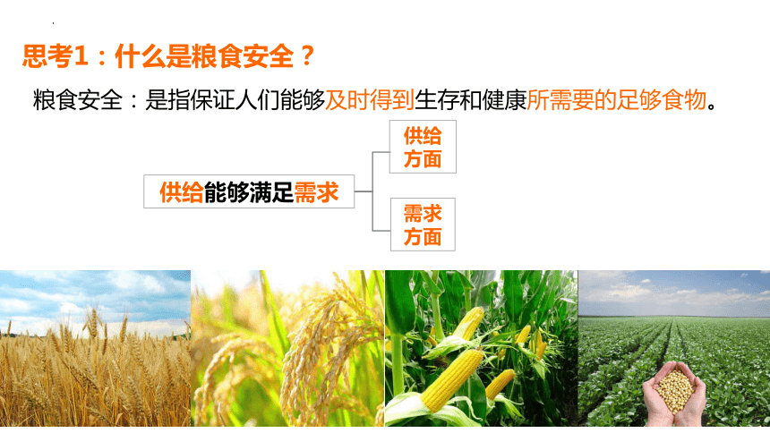 2.3中国的耕地资源与粮食安全（共23张ppt）