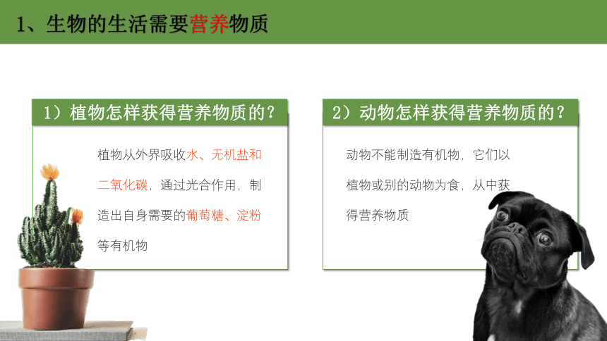 1.1.1生物的特征 课件(共28张PPT)2023年秋人教版生物七年级上册