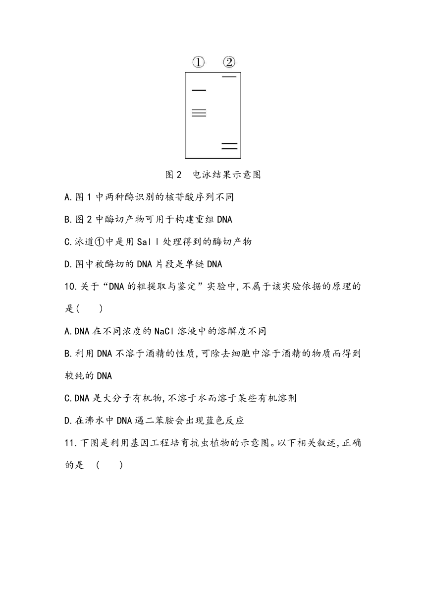 第3章《基因工程》章节小测2023~2024学年高中生物人教版（2019）选择性必修3（含答案）