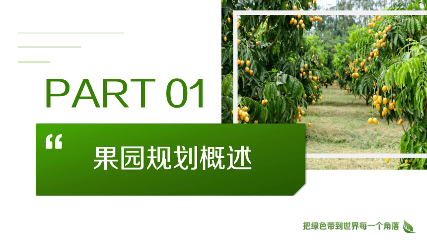 1.3规划设计标准化果园 课件(共22张PPT)-《果树生产技术》同步教学（中国农业出版社）