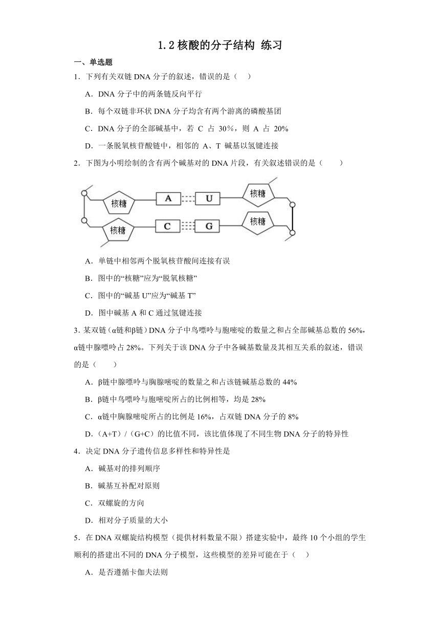 1.2核酸的分子结构 练习（解析版）