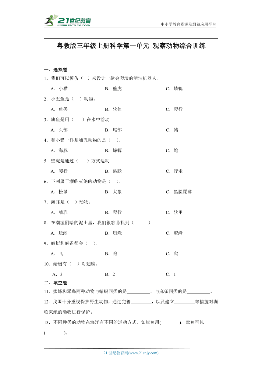 粤教版三年级上册科学第一单元《观察动物》综合训练（含答案）