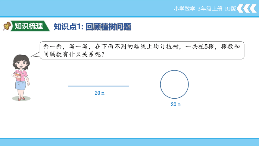 人教版五年级上册数学第7单元数学广角——植树问题课件(共15张PPT)