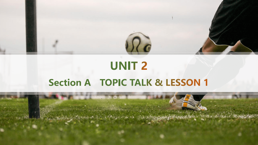 北师版（2019）必修第一册UNIT 2 Sports and Fitness　TOPIC TALK & LESSON 1课件(共81张PPT)