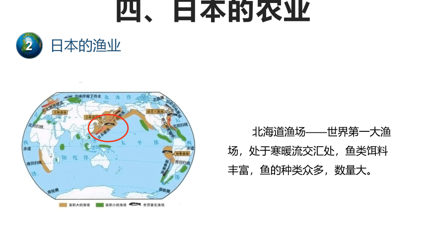7.1日本（第2课时）课件(共29张PPT)中图版地理八年级下册