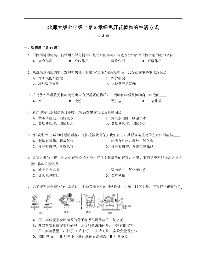 第三单元第5章绿色开花植物的生活方式同步练习（含解析）北师大版七年级上册