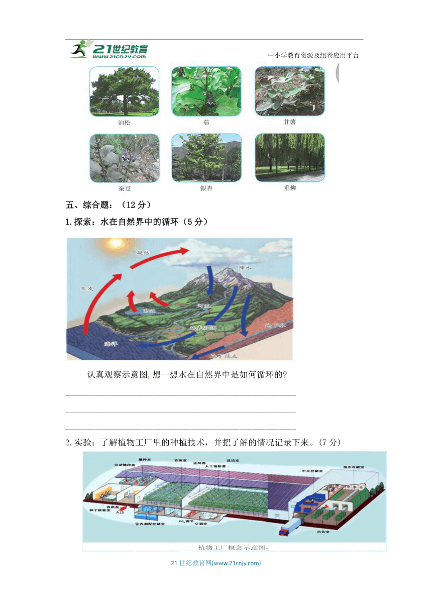 人教鄂教版六年级上册科学期末检测题（含答案）