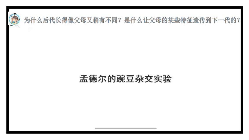 苏教版六年级上册科学2.7 寻找遗传与变异的秘密（课件）(共12张PPT+视频)