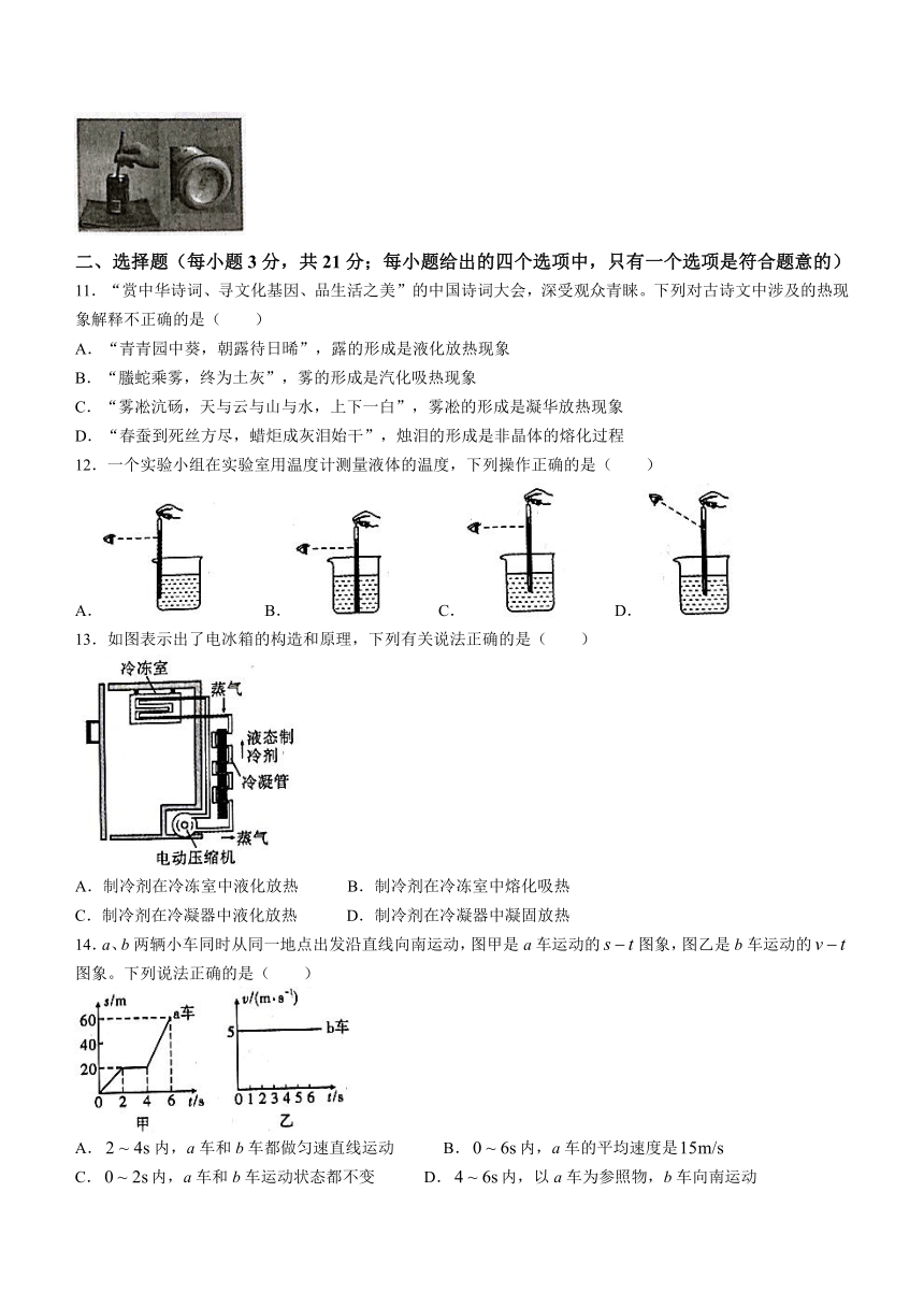 安徽省安庆市桐城市2023-2024学年八年级上学期11月期中物理试题（含答案）