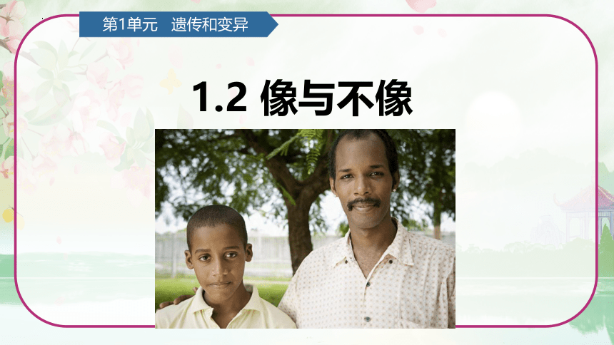 青岛版（六三制2017秋） 六年级上册1.2像与不像 课件(共15张PPT)