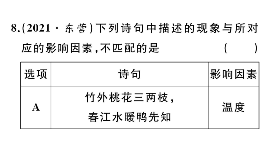 1.2.1生物与环境的关系习题课件(共38张PPT)