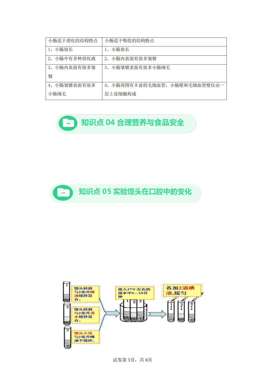 第8章人体的营养 北师大版生物七年级下册 期末知识点+练习（含解析）