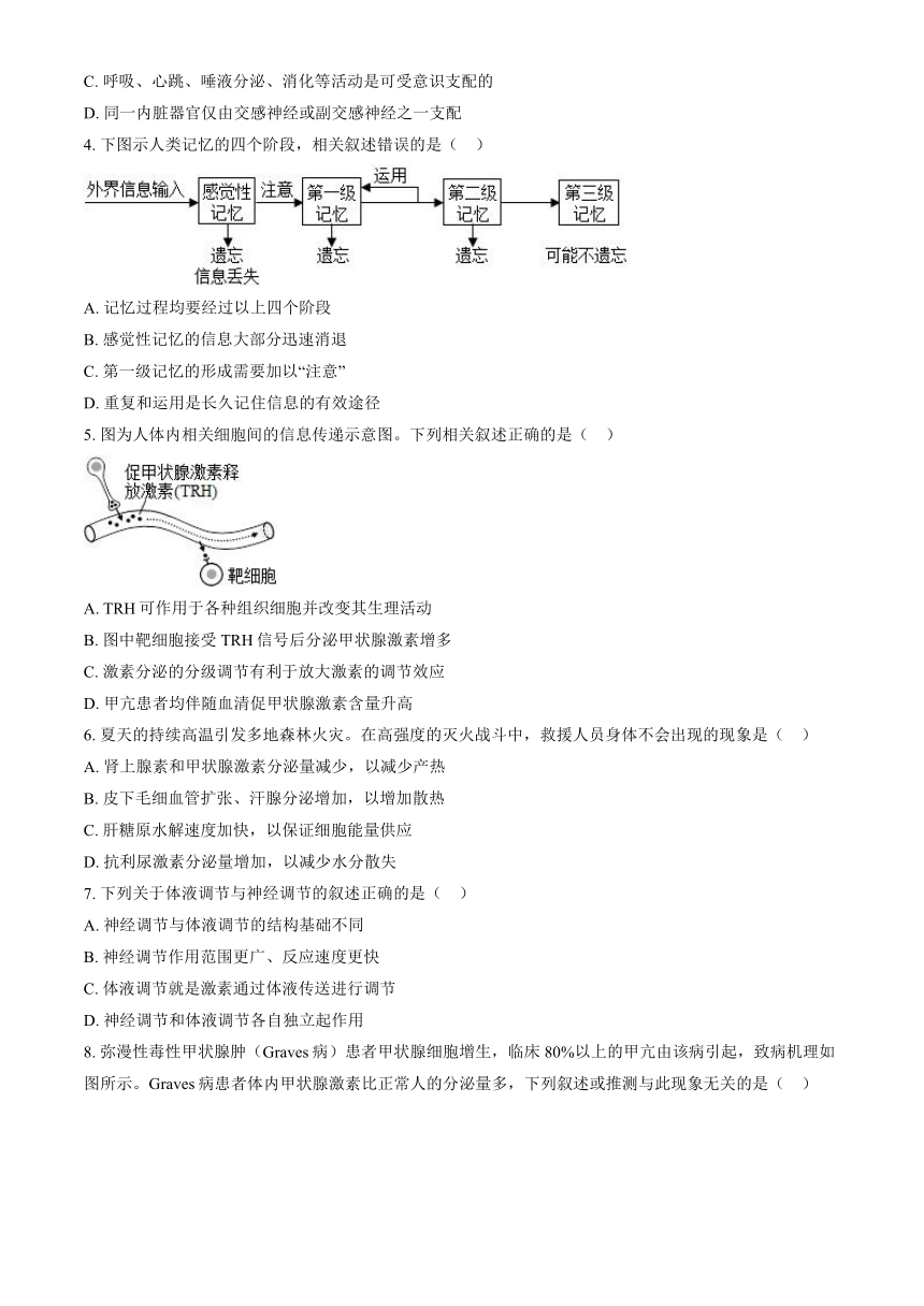 2023北京第一六一中高二（上）期中生物（解析版）