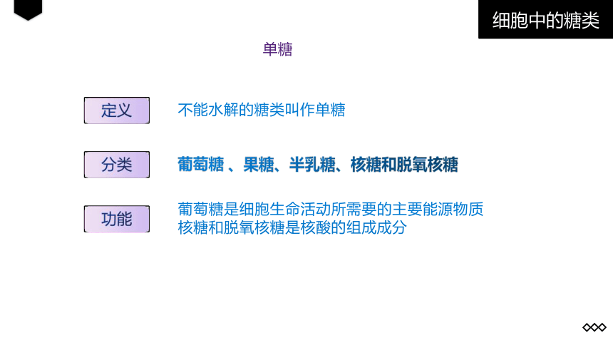 2.3 细胞中的糖类和脂质(共26张PPT)-高一生物学（人教版2019必修1）