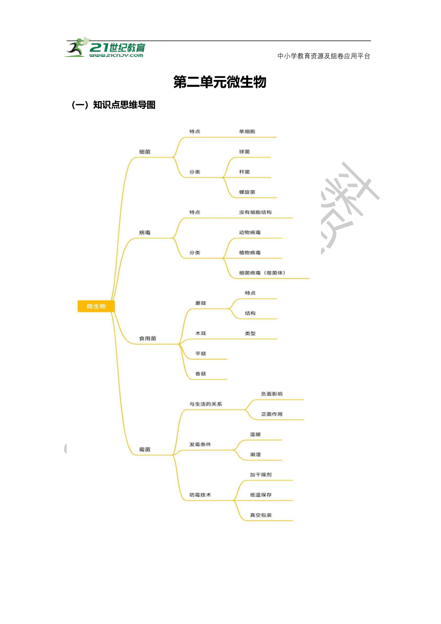 2023-2024学年六年级科学上册 第2单元 微生物-期中专项复习（青岛版）