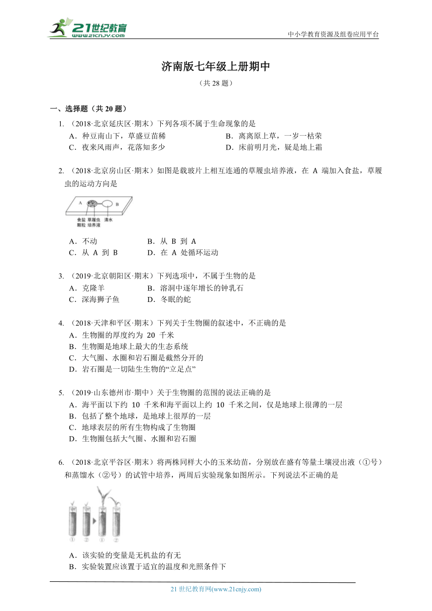 2023-2024学年初中生物济南版七年级上册期中测试模拟题（解析+答案）