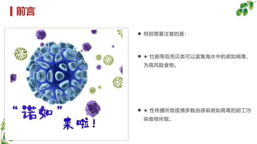 诺如病毒感染进入秋季高发期，这些预防知识尽早知道 课件(共19张PPT) 小学生安全教育主题班会