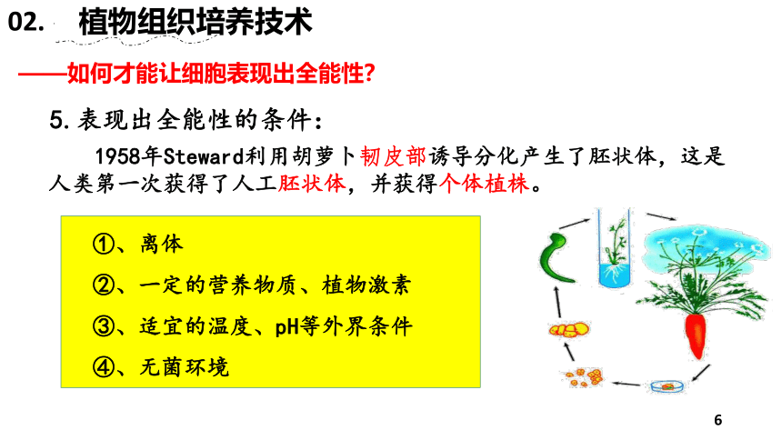 2.1植物细胞工程第一课时课件-(共18张PPT1份视频)人教版（2019）选择性必修3