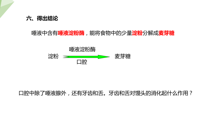 2.1.2 食物的消化  课件(共27张PPT) 2023-2024学年初中生物冀少版七年级下册