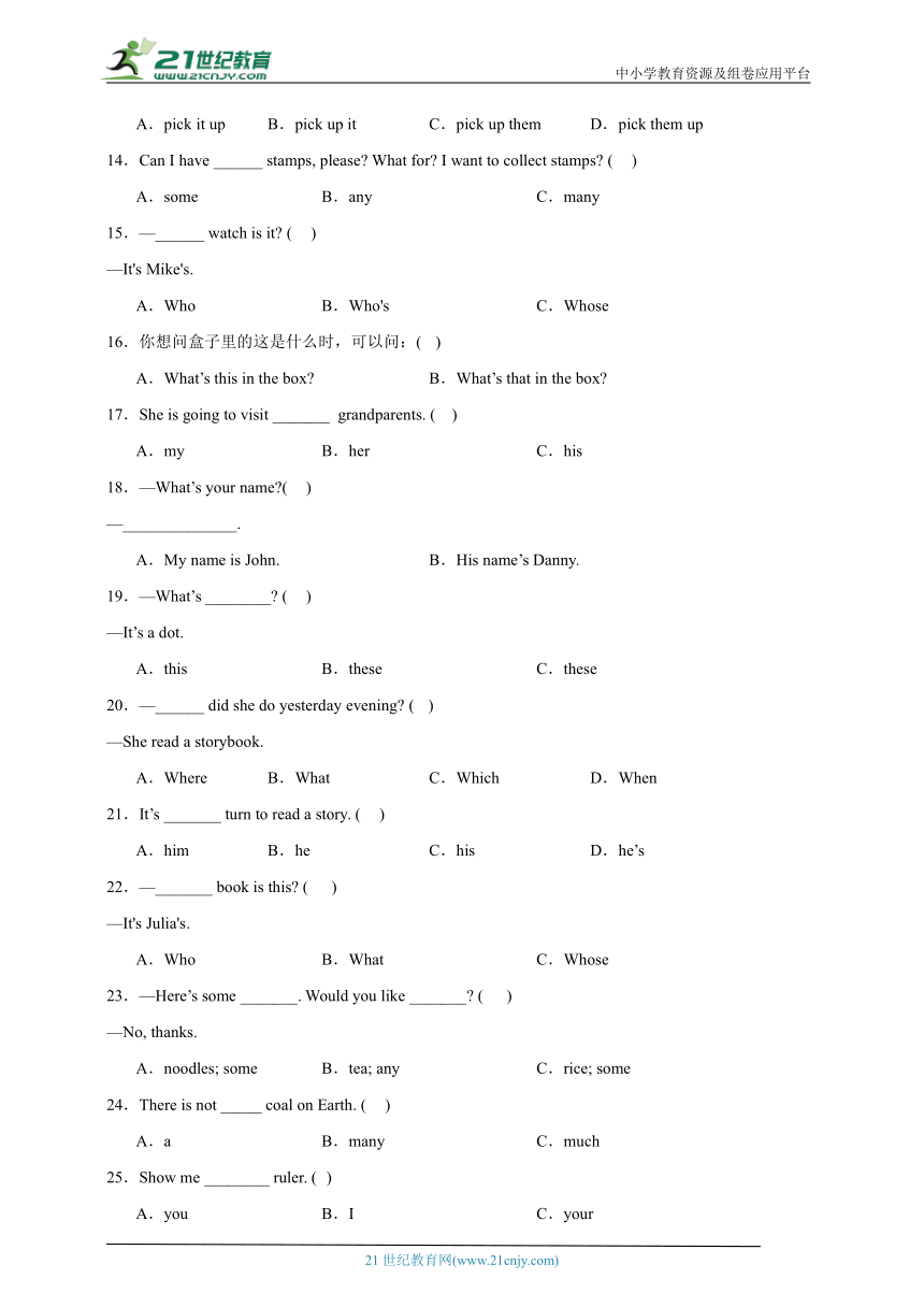 2023年小升初英语语法专题特训：代词  人教版(PEP)（含答案）