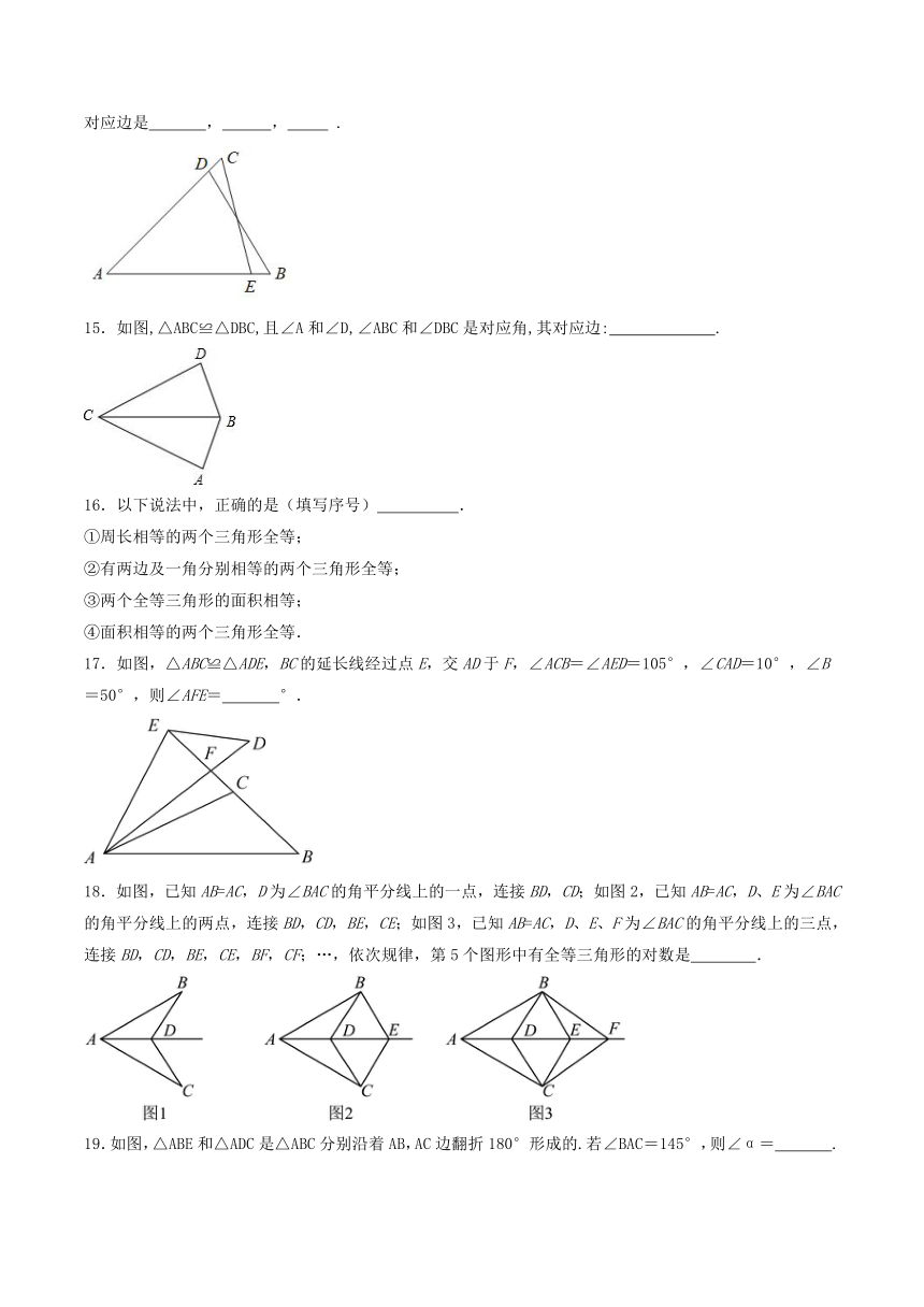 2023-2024学年八年级华东师大版数学上册 13.2.1和13.2.2 全等三角形及判定条件 同步练习（含答案）