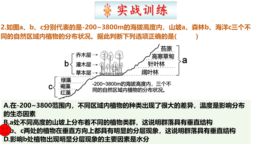 2.1群落的结构课件-(共43张PPT)人教版（2019）选择性必修2