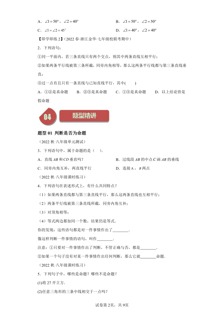 第1章第02讲定义与命题（4类题型）（含解析）2023-2024学年八年级数学上册浙教版