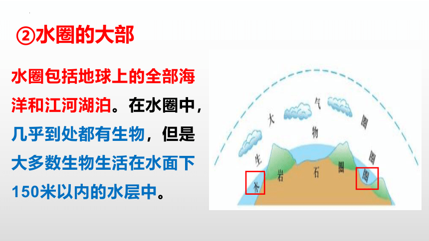 1.2.3生物圈是最大的生态系统课件(共34张PPT)2023-2024学年人教版七年级生物上册