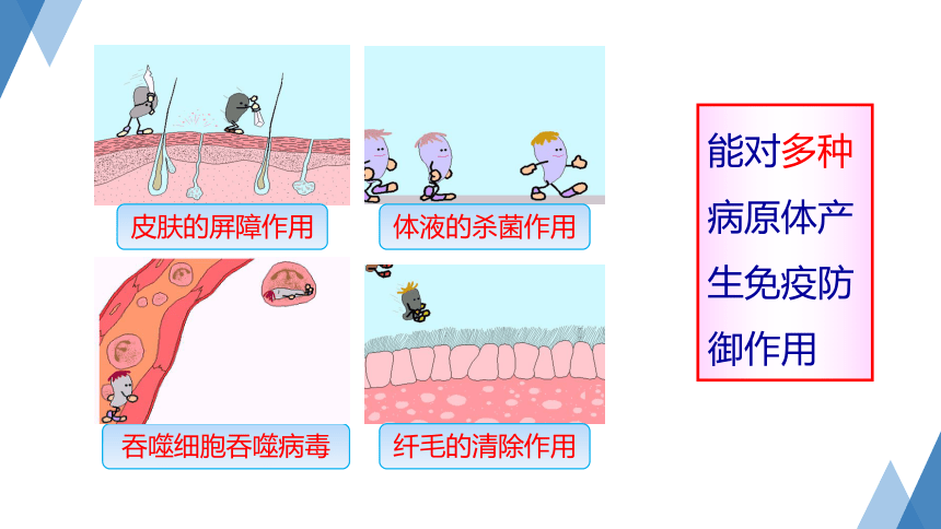 第3节 身体的防卫 第1课时—2023-2024学年浙教版科学九年级下册（课件 36张ppt）