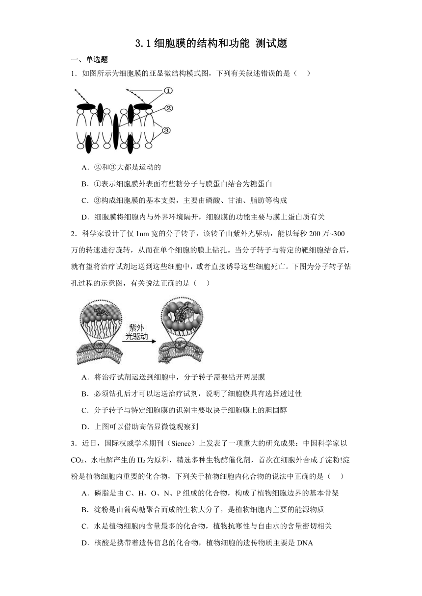 3.1细胞膜的结构和功能测试题（含解析）2023-2024学年高中生物学人教版（2019）必修1