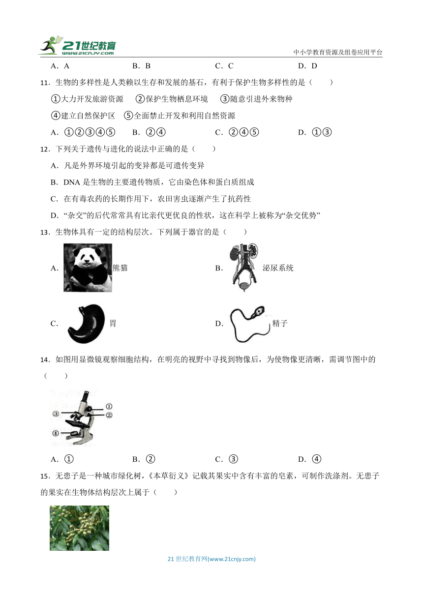 华师大版科学七年级上册期中练习卷4（含答案）