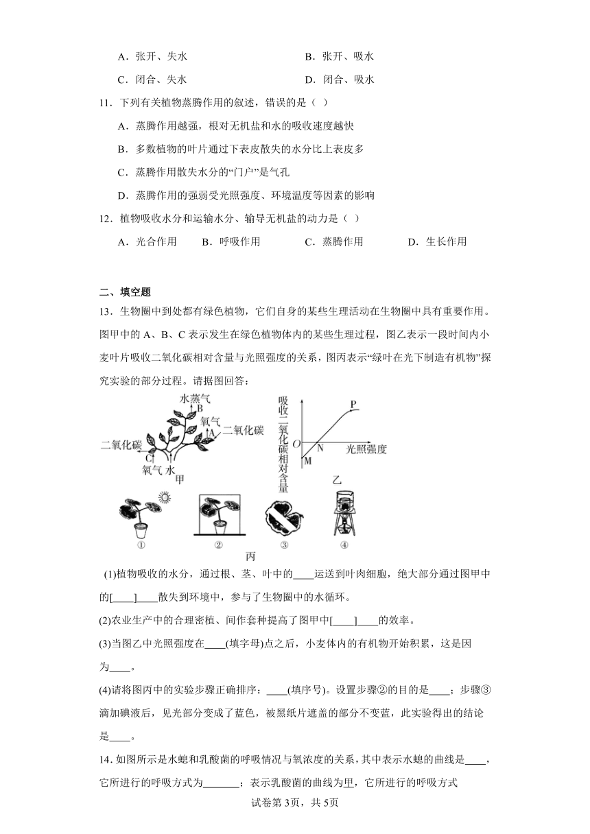 第4章 植物的物质和能量的转化  综合练习（含解析）