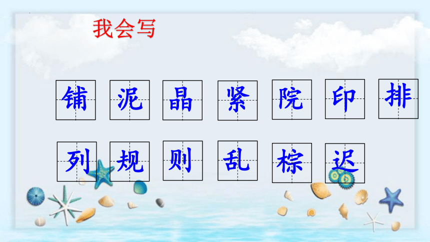 5《铺满金色巴掌的水泥道》课件(共23张PPT)