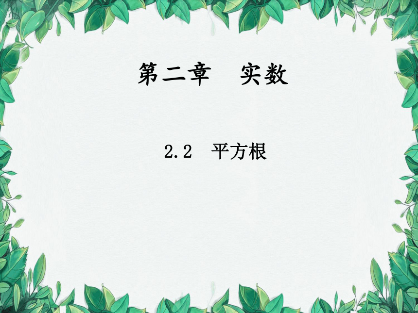 北师大版数学八年级上册 2.2平方根  课件(共19张PPT)