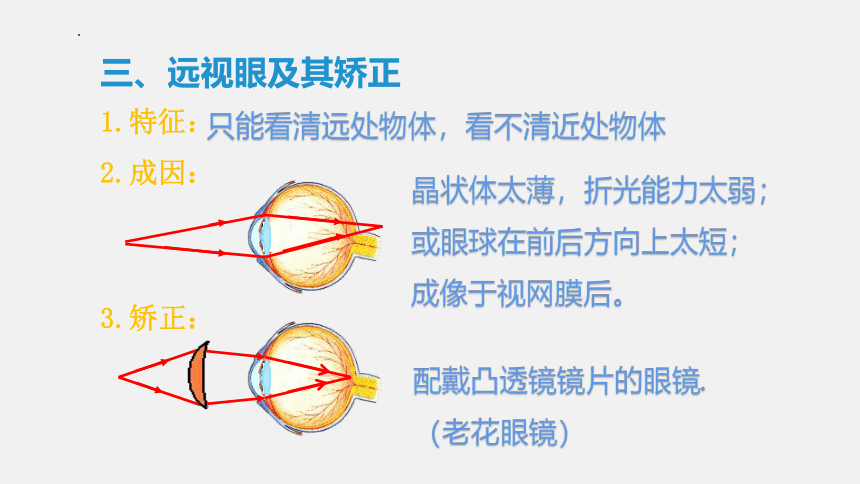 4.6《神奇的眼睛》课件 共2课时 (共48张PPT) 2022-2023学年沪科版八年级物理上学期