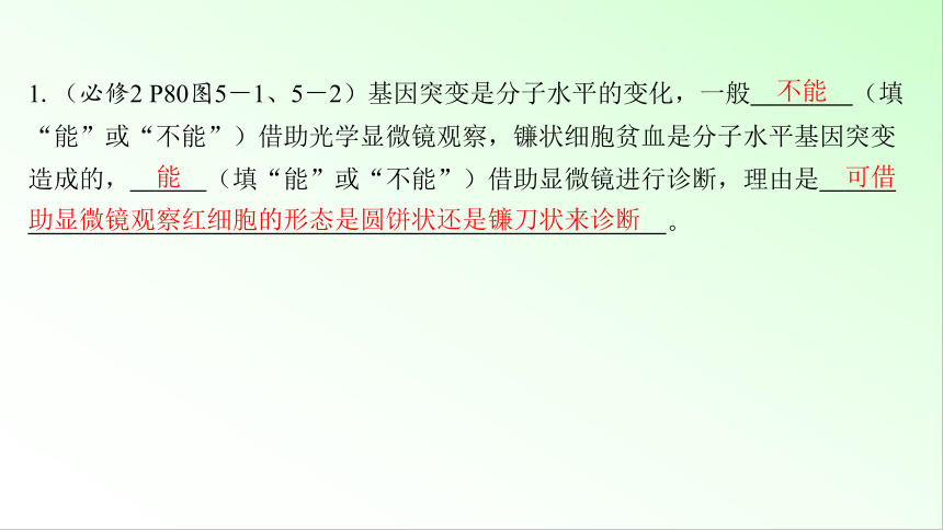 新教材生物一轮复习课件：第7单元 生物的变异和进化 第1讲　基因突变和基因重组(共88张PPT)