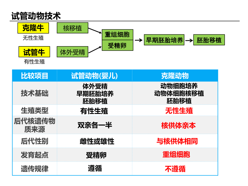 2.3胚胎工程课件新教材课件-(共35张PPT)2022-2023学年高二下学期生物人教版（2019）选择性必修3